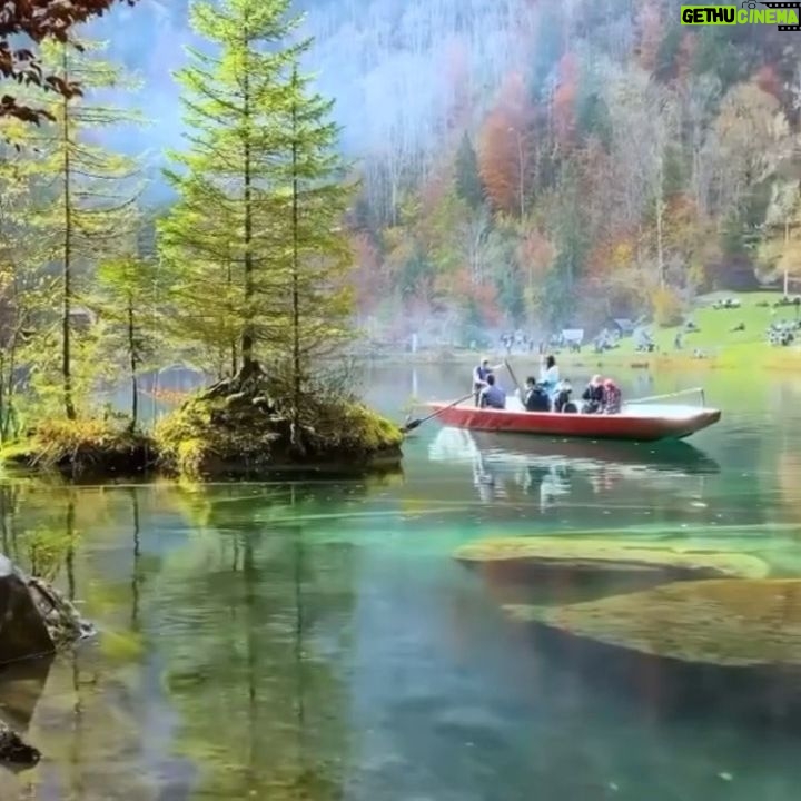 Leyla Bilginel - 4.4K Likes - Böyle cennet bir dünyayı yok etmeye çalışanlara bir kul olarak hakkımı helal etmiyorum! Masum oğlumun hakkını helal etmiyorum. Ah güzel doğa ah içinde hayat bulan güzel canlar! Özür diliyorum sizlere sahip çıkamıyoruz! 😢😢😢 çocuklarımız böyle güzeller içinde büyümeli! Plaza avm taş yığını bir dünyada DEĞİL! Güzel allahım affetsin bizi ki var ettiği bu güzel evreni KORUYAMIYORUZ! 🥲🙏 Keşke bir şansım olsa insandan uzak böyle bir yerde ömrümü doğaya hizmet ederek bitirebilsem!
