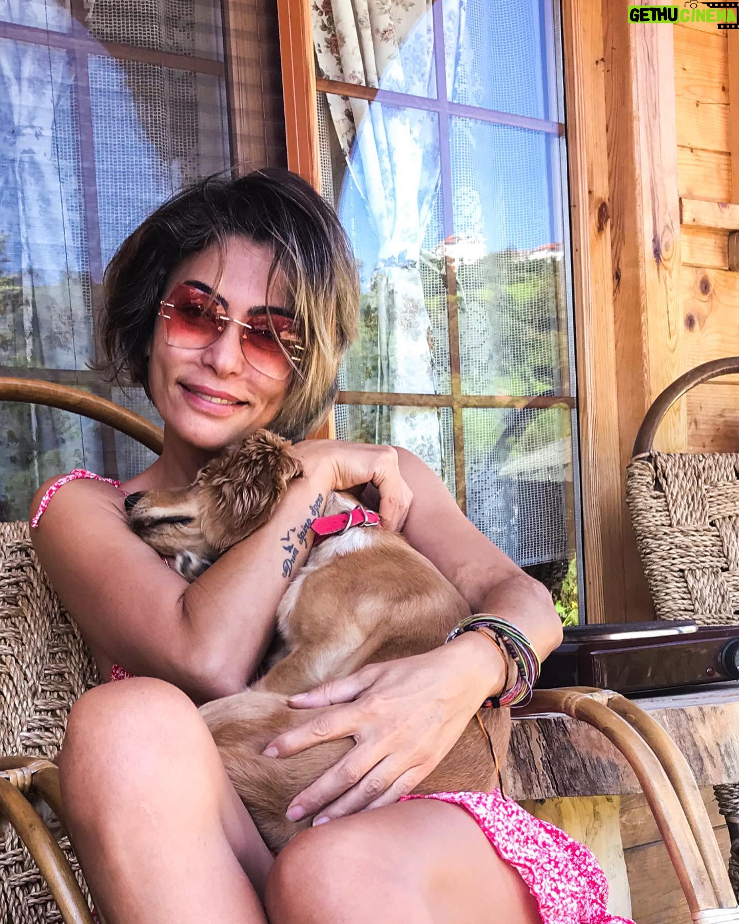 Leyla Bilginel - 3.9K Likes - Hayatı zorlaştıranlardan değil! Hayatı her yönüyle güzel görenlerden olmak! İşte yaşamın sırrı bu olsa gerek! 🥰🙏 #yaşam #aile #huzur #doğa