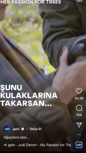 Leyla Bilginel Instagram - Günaydın olsun Türkiye 🇹🇷 

AÇIN İYİCE O DUYUPTA DUYMAYAN KULAKLARINIZI DİNLEYİN BİR AĞACIN SESİNİ! İŞTE BEN ONLARI DUYUYORUM DEDİĞİMDE NEDEN BAHSETTİĞİMİ ANLAYIN! 
Sağ olsun bir can atmış bu videoyu İŞTE bahsettiğin ses bu değil mi abla diye! 

Yanan ağacın gövdesine sarılıp ağlamam bazılarına çok garip geldi! Anlamsız geldi! Onlar için yas tutup oruç niyet etmem saçmalık dendi! 

Her kötü olayın sonunda bir şey öğreniriz! Bu acı ve keder dolu günlerin içinde insanların çoğunun doğayla bir bağının olmadığını anladım! Evet atılan çöplerle biliyordum ama duyarsızlar bu insanlar diyordum! Bu kadar kopuk bilgisiz ve gaddar olduklarını bilmiyordum! Dağı taşı bir toz zerresini dahi yaradan ALLAH değil mi? Onun var ettiği her şey kıymetli değil mi? Ve bilmez mi bu insanlık basıp geçtiğin topraktan tut dal ağaç dediğin bitkiden tut, konuşamayan sadece insanın gözlerinin  içine bakan canlılardan tut her şeyi o var etmedi mi? Şimdi bu soruyu sorunca herkes büyükçe sözlerle aaa ne demek elbette ALLAH var etti der! Ama sadece dilde evet gerçekte kalpte bu böyle değil! Allah’a olan bağınızı sevginizi bence bir daha gözden geçirin! Eğer bir ağaç için ağlanması saçmaysa. Bunca ağaç yanarken sen hiç bir şey yokmuş gibi umursamadan hayata devam ediyorsan. Bir kez daha düşün Allah’a olan sevgini ey kul! Bir bilsen bir ağacın bu dünyadaki anlamını! Yanan her ağacın bu dünyaya nasıl bir zarar olduğunu o ağacın bu doğaya nasıl etkisi olduğunu! Şimdi yanan bunca ağacın sonunda neler ne olumsuzluklar yaşanacağını bir bilse bu insanlar! Okuyun araştırın azıcık diyeceğim ama nerde! Ama emin olun bu doğa böyle hiçe sayıldıkça öğrenmek zorunda kalacaksınız! 😞🙏