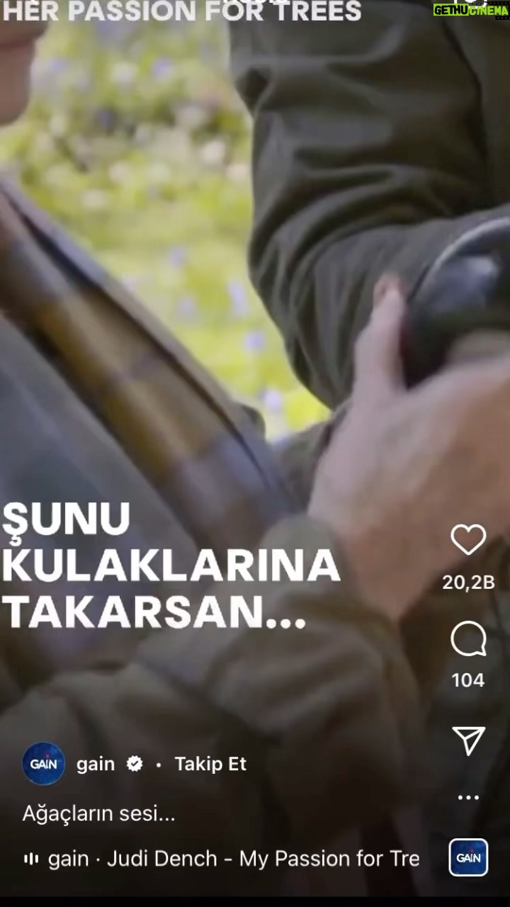 Leyla Bilginel - 2.1K Likes - Günaydın olsun Türkiye 🇹🇷
AÇIN İYİCE O DUYUPTA DUYMAYAN KULAKLARINIZI DİNLEYİN BİR AĞACIN SESİNİ! İŞTE BEN ONLARI DUYUYORUM DEDİĞİMDE NEDEN BAHSETTİĞİMİ ANLAYIN!
Sağ olsun bir can atmış bu videoyu İŞTE bahsettiğin ses bu değil mi abla diye!
Yanan ağacın gövdesine sarılıp ağlamam bazılarına çok garip geldi! Anlamsız geldi! Onlar için yas tutup oruç niyet etmem saçmalık dendi!
Her kötü olayın sonunda bir şey öğreniriz! Bu acı ve keder dolu günlerin içinde insanların çoğunun doğayla bir bağının olmadığını anladım! Evet atılan çöplerle biliyordum ama duyarsızlar bu insanlar diyordum! Bu kadar kopuk bilgisiz ve gaddar olduklarını bilmiyordum! Dağı taşı bir toz zerresini dahi yaradan ALLAH değil mi? Onun var ettiği her şey kıymetli değil mi? Ve bilmez mi bu insanlık basıp geçtiğin topraktan tut dal ağaç dediğin bitkiden tut, konuşamayan sadece insanın gözlerinin içine bakan canlılardan tut her şeyi o var etmedi mi? Şimdi bu soruyu sorunca herkes büyükçe sözlerle aaa ne demek elbette ALLAH var etti der! Ama sadece dilde evet gerçekte kalpte bu böyle değil! Allah’a olan bağınızı sevginizi bence bir daha gözden geçirin! Eğer bir ağaç için ağlanması saçmaysa. Bunca ağaç yanarken sen hiç bir şey yokmuş gibi umursamadan hayata devam ediyorsan. Bir kez daha düşün Allah’a olan sevgini ey kul! Bir bilsen bir ağacın bu dünyadaki anlamını! Yanan her ağacın bu dünyaya nasıl bir zarar olduğunu o ağacın bu doğaya nasıl etkisi olduğunu! Şimdi yanan bunca ağacın sonunda neler ne olumsuzluklar yaşanacağını bir bilse bu insanlar! Okuyun araştırın azıcık diyeceğim ama nerde! Ama emin olun bu doğa böyle hiçe sayıldıkça öğrenmek zorunda kalacaksınız! 😞🙏