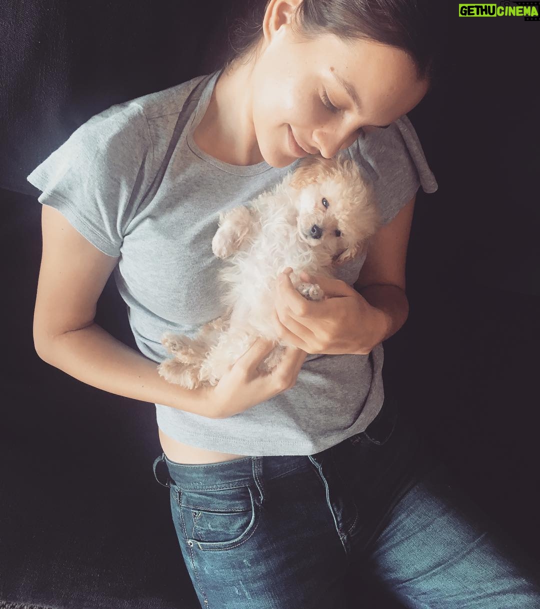 Leyla Feray Instagram - new member of the family #pudi 💕 @gurbuznilufer @bugragulsoy
