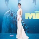 Li Bingbing Instagram – Attending The Meg premiere in Los Angeles, so exciting to see The Meg in theater on August 10th. #themeg #libingbing @megmovie