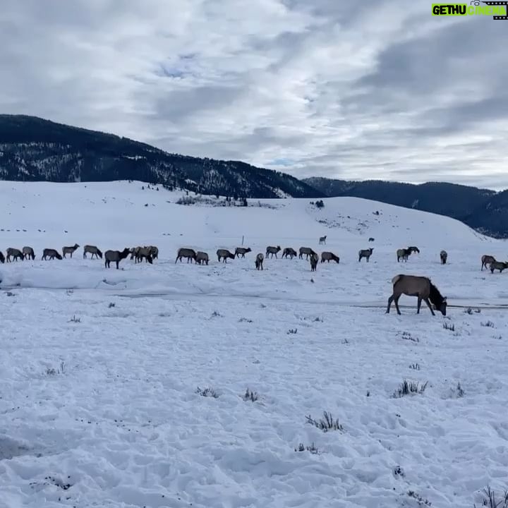 Liana Ramirez - 10.3K Likes - finally posting about WY❄️