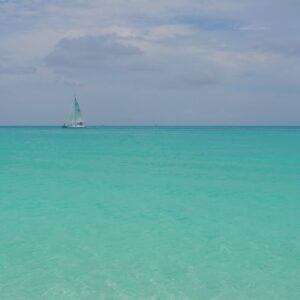 Liberté Chan Instagram - Summer Uniform 🩱

Note: The first time I saw water this blue was when I was 19 years old and my parents took me on a family trip to Tahiti. The color of the water was seared into my mind and I’ve carried that core memory around like a precious treasure, always seeking to visit islands surrounded by that shade of blue. 

Here in Turks and Caicos, I found it again. The water is crystal clear, warm and just as striking. 

Another note: If you’re coming from Miami, the flight is less than 1 1/2 hours. If you’re coming from LA, there’s no direct flight. It takes almost 9  hours to get here. If you’re coming from the West Coast, my advice: stop in Miami for a day or two before coming so you break up the trip 😉

#turksandcaicosbeaches #onepiecebathingsuit #bathingsuitseason #islandstyle #travelcreator #summervacation☀️