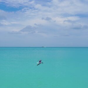 Liberté Chan Instagram - Blue hues 💙

#turksandcaicosbeaches #turksandcaicosislands #islndtime #islandstyle #bikinidays