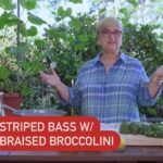 Lidia Bastianich Instagram - Join me in my garden as I prepare one of my favorite go-to fish recipes. Easy and delicious, you can use this fool-proof preparation with bass - or halibut or salmon. It will all cook in one pan and the results will be an elegant dish that also saves you time and money. Link to video and recipe in my bio. Buon Gusto! #LidiasRecipes #LidiasItaly #LidiasKitchen #LidiaBastianich #ItalianFood #25YearsofLidia #FromLidiasTableToYours #LidiasSoundtrack