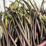 Lidia Bastianich Instagram – I loved being able to spend the Easter holidays with family in Istria. I had a wonderfully peaceful time foraging for wild asparagus, dandelions, nettles, and more. Easter meal was roasted lamb, spring peas, and potatoes – and we got to enjoy all the wild greens we harvested. #WheresLidia #lidiastravels #LidiasRecipes #LidiasItaly #LidiasKitchen #FromLidiasTableToYours #LidiasSoundtrack