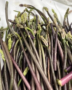 Lidia Bastianich Instagram - I loved being able to spend the Easter holidays with family in Istria. I had a wonderfully peaceful time foraging for wild asparagus, dandelions, nettles, and more.  Easter meal was roasted lamb, spring peas, and potatoes - and we got to enjoy all the wild greens we harvested.  #WheresLidia #lidiastravels #LidiasRecipes #LidiasItaly #LidiasKitchen  #FromLidiasTableToYours #LidiasSoundtrack