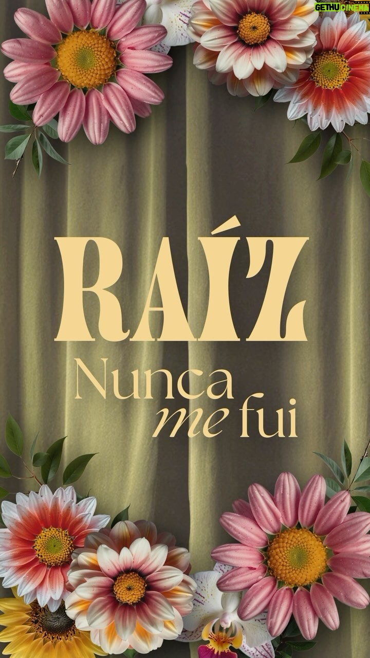 Lila Downs Instagram - Ya estamos de estreno con el nuevo EP, "Raíz Nunca Me Fui". 🎶🌼 @liladowns @npastorioficial @sole_pastorutti
