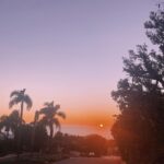 Lilah Pate Instagram - this little life of mine