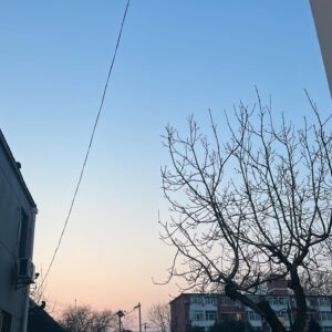 Lilian Zhang Instagram - -
昨天姊姊問了我 是什麼人格
頓了一下 翻了相簿看之前測驗截圖
ESFP 就如同這兩天記錄下來的的生活

1. 既熟悉又陌生的北京
抬頭看見這商店似乎是來過的這些城市裡
唯有北京才有的街邊商店（再來未解鎖其他城市前）

2. TI舞蹈工作室 反倒來了趟北京 上了堂jazz
以前只要沒事 都會散步來TI扭動💃

3. 從東二環前往東三環的路上

4. 工體附近的居酒屋
開玩笑的說一間居酒屋好不好吃 取決於雞軟骨
結果送上來是掌中寶 眼淚差點滴下來

5. 剛下課的我們 似乎去了三溫暖似的😳
6. 3/14 來北京的第一天 是粉色夕陽💌💝

7. 看著食之六七14:30關門 趕緊放完行李 出門

蔥油拌麵 是我心心念念好久的
（有一說一 不如從前那樣的入味）

8. 🤳📍Gaga 
9. 很突然的被安排拳擊課。

10. 朋友說在家裡做飯 很期待的去

也好奇 就是說：為什麼每道菜都是黑的？
（👨🏻 北方人吃飯重口味 ）

/
以上是 兩天的我
總結了ESFP沒事找事做