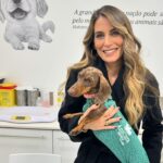 Liliana Santos Instagram - A minha @solthesunshine é sempre muito bem tratada e mimada por todos no @anicura_restelohospvet! Fica a aqui o meu profundo agradecimento a esta equipa fantástica, em quem confio de olhos fechados 💙 #ver #pet #anicura #sol #teckel #merle #dogsofinstagram #daschund