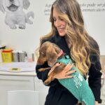Liliana Santos Instagram - A minha @solthesunshine é sempre muito bem tratada e mimada por todos no @anicura_restelohospvet! Fica a aqui o meu profundo agradecimento a esta equipa fantástica, em quem confio de olhos fechados 💙 #ver #pet #anicura #sol #teckel #merle #dogsofinstagram #daschund