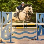 Lilly Aspell