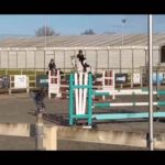 Lilly Aspell