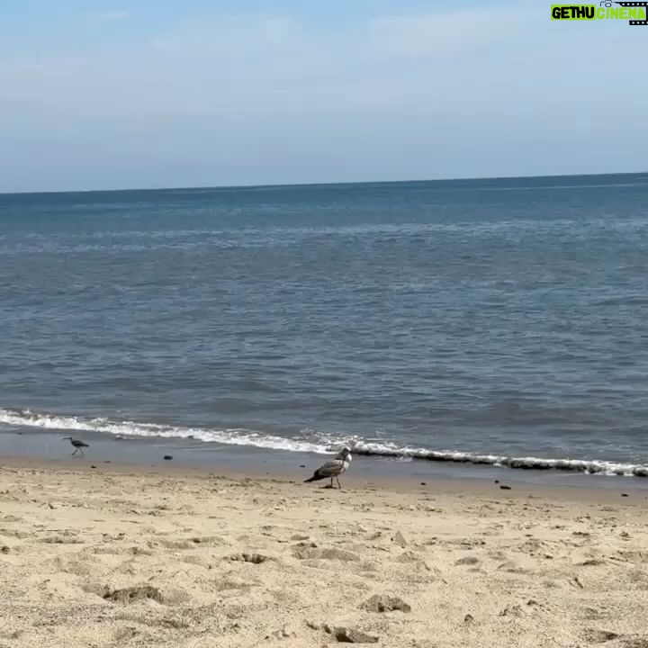 Lilly Krug - 5.8K Likes - I jumped into the freezing water and I’m proud. Perfect first dip of the year.