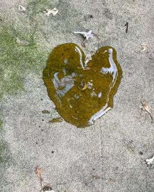 Lily Newmark Instagram - Love on the ground