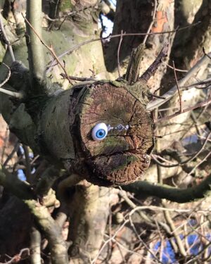 Lily Newmark Instagram - 👁 it’s “earth day“ (as is everyday on earth) and for those of you with “eco-anxiety” (me included) I recommend reading ‘Inheritors of the Earth’ by Chris D.Thomas and ‘The hidden life of Trees’ by Peter Wohlleben 🌱
