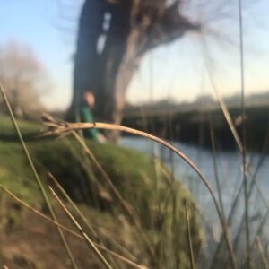 Lily Newmark Instagram - 👁 it’s “earth day“ (as is everyday on earth) and for those of you with “eco-anxiety” (me included) I recommend reading ‘Inheritors of the Earth’ by Chris D.Thomas and ‘The hidden life of Trees’ by Peter Wohlleben 🌱
