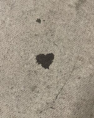 Lily Newmark Instagram - Love on the ground