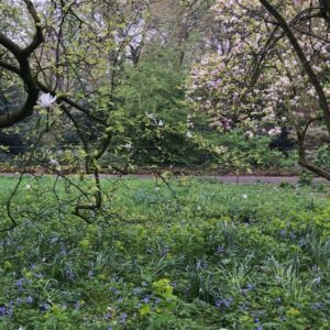 Lily Newmark Instagram - 👁 it’s “earth day“ (as is everyday on earth) and for those of you with “eco-anxiety” (me included) I recommend reading ‘Inheritors of the Earth’ by Chris D.Thomas and ‘The hidden life of Trees’ by Peter Wohlleben 🌱