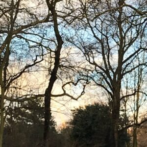 Lily Newmark Instagram - Just a lil thank u from the trees for the huge drop in carbon emissions 🤎