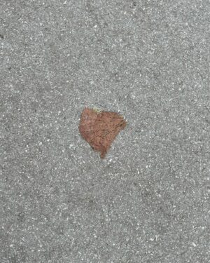 Lily Newmark Instagram - Love on the ground