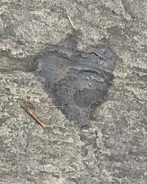 Lily Newmark Instagram - Love on the ground