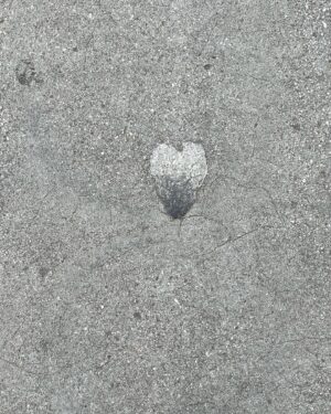 Lily Newmark Instagram - Love on the ground