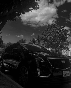 Lily Sullivan Instagram - Bye bye LA — thank you @cadillac for keeping the good times rolling 🖤 🛞