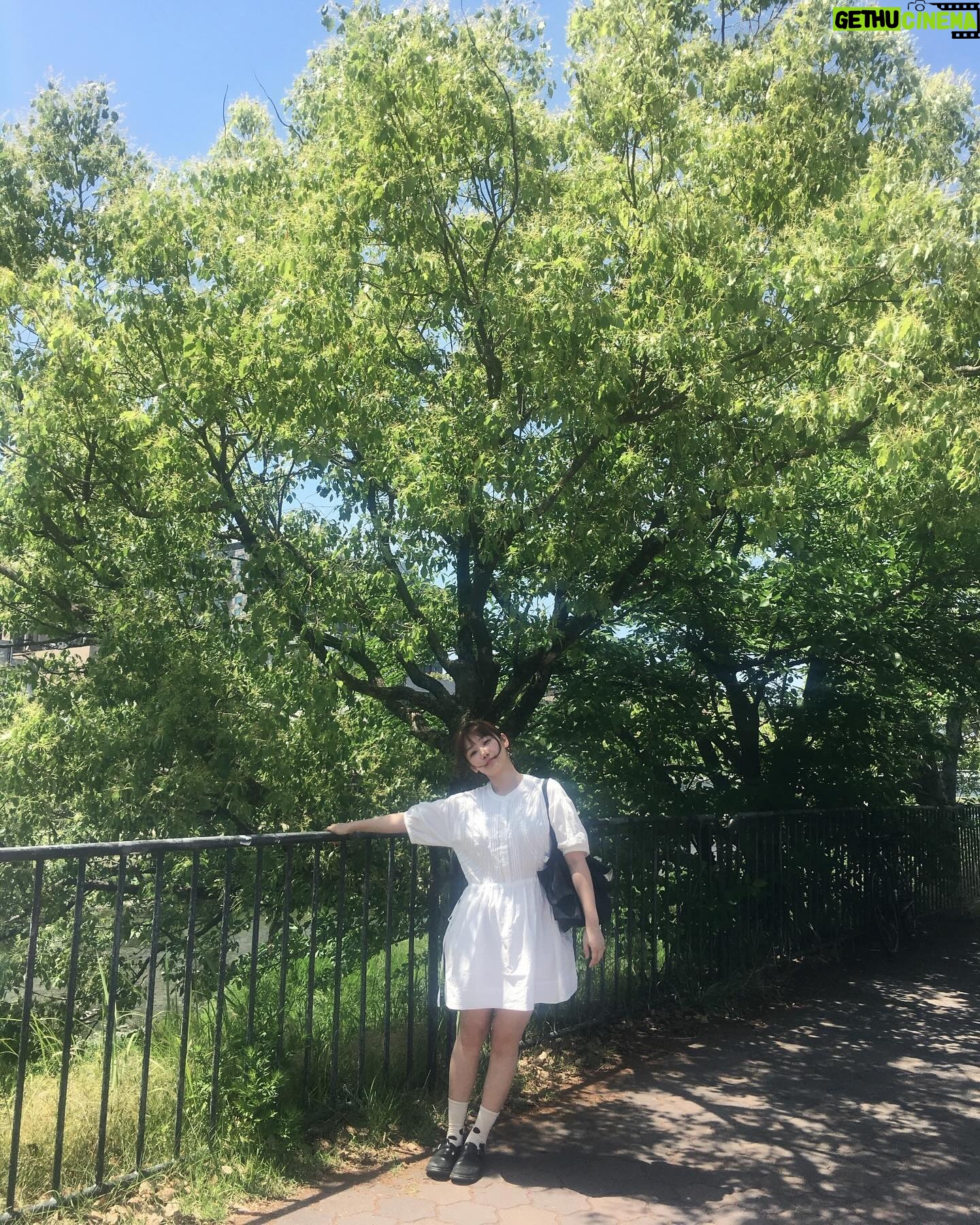 Lim Yu-bin - 1.2K Likes - そうなんや~~