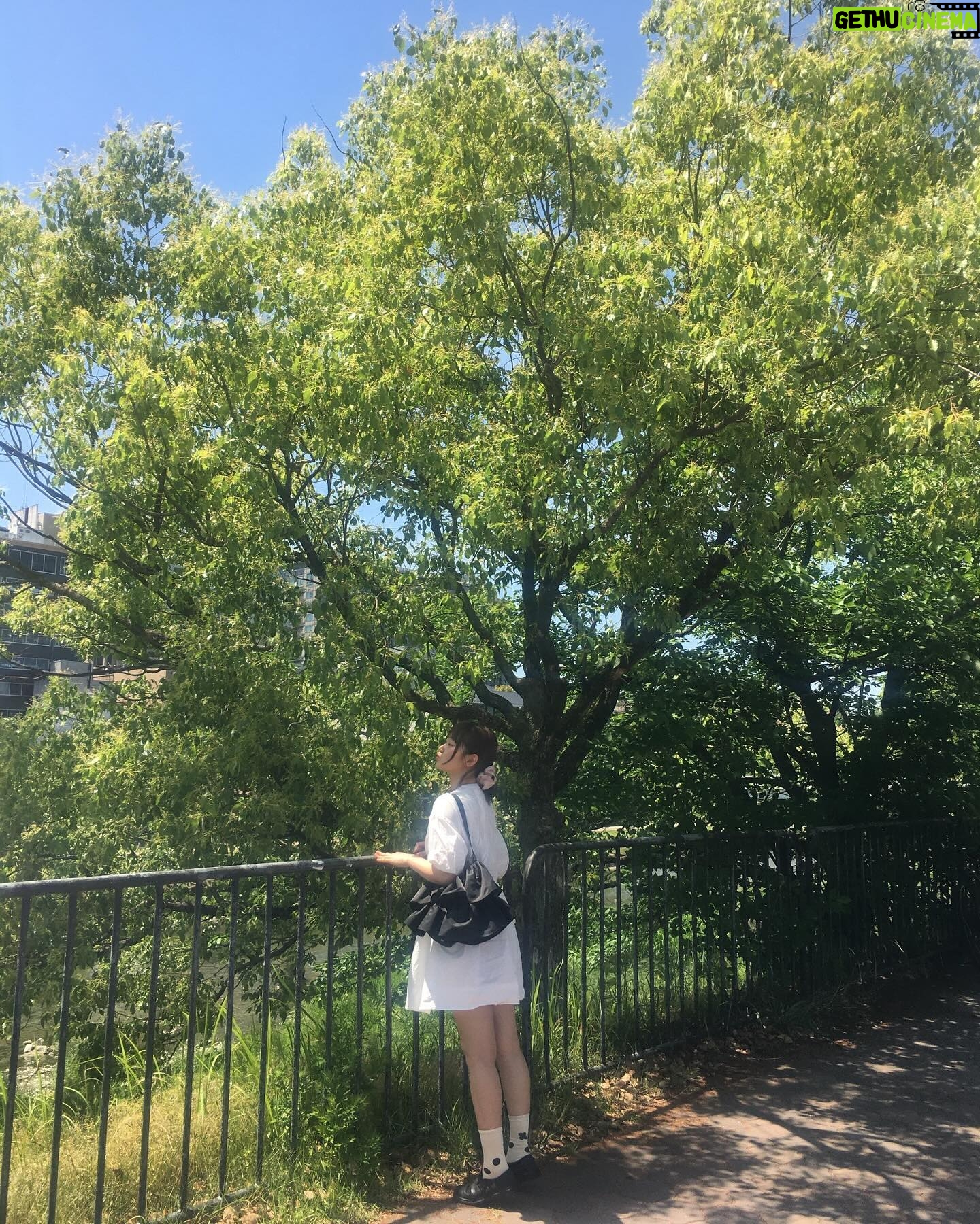 Lim Yu-bin - 1.2K Likes - そうなんや~~