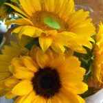 Lim Soo-jung Instagram - 너에게로 가던 길🌻 내게 내려온 천사를 만나러 가는 기분이었어💛🕊