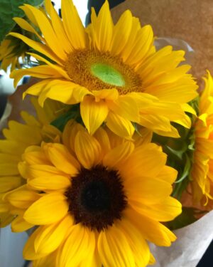 Lim Soo-jung Instagram - 너에게로 가던 길🌻 내게 내려온 천사를 만나러 가는 기분이었어💛🕊
