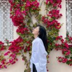 Lim Soo-jung Instagram - 🍀🌸