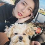 Lin Chenyi Instagram - 今天天氣實在太好啦～ 帶著咖妹醬首次踏草皮， 從照片就能看得出她的笑顏， 感覺真的很開心～ 回到家睡翻不調皮，媽媽我也很開心😆😆 話說～河濱公園的咖啡廳真的挺不錯的！ #河濱公園 #咖妹醬 #life #sunnyday #瑪爾泰迪