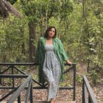 Lin Laishram Instagram - Manifesting dreams into reality, one day at a time. Every morning I wake up grateful for the beauty of nature and the life it breathes into my dreams. #naturelovers #gaur #leopard