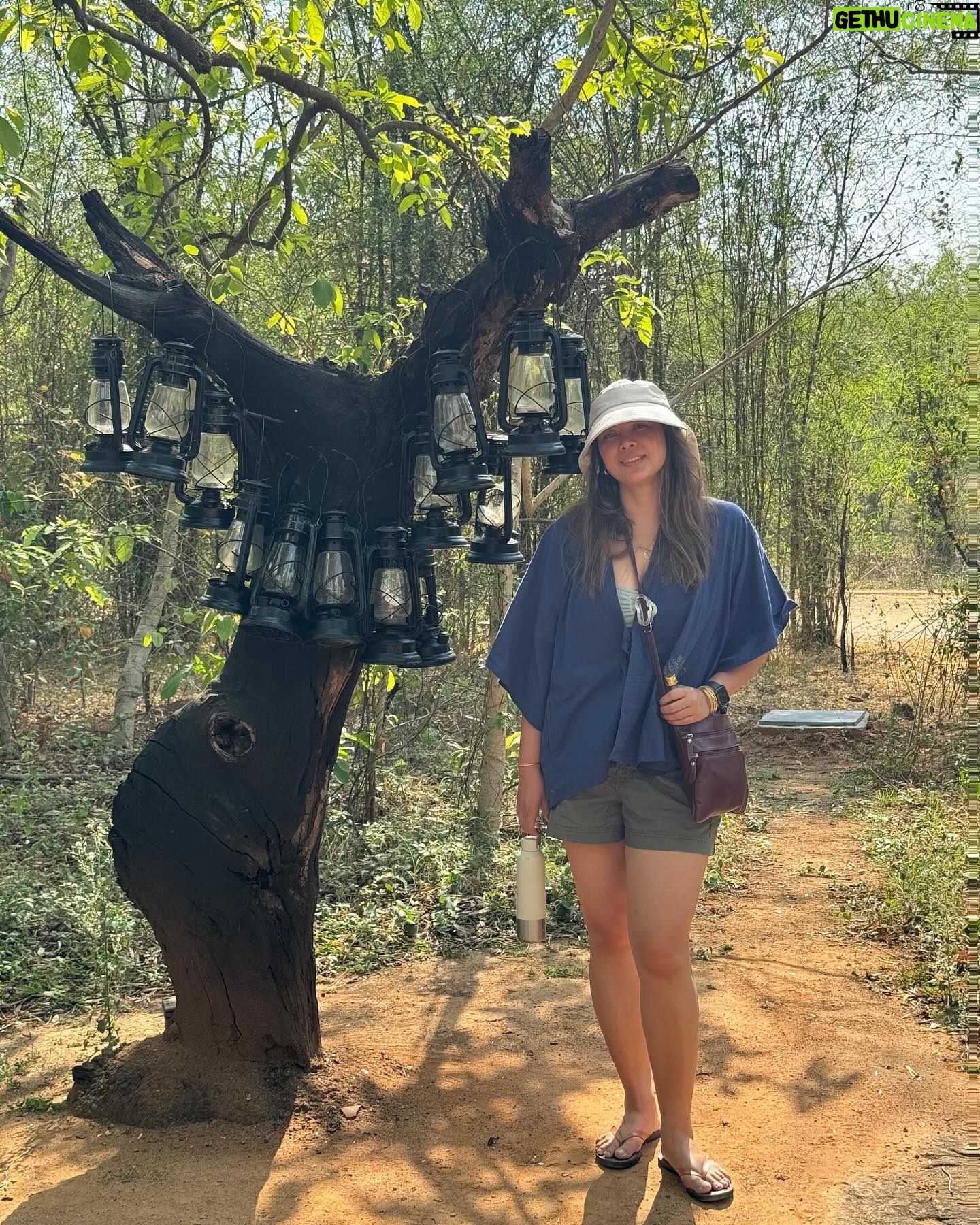 Lin Laishram - 41K Likes - May update
#summertime