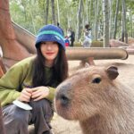 Lin Yun Instagram - 卡皮巴拉😏