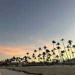 Lina Castrillón Instagram - ☀️2024 🌴 Mente feliz Vida feliz …. 💭 De ahí viene todo … Que sea un año amoroso para todos … 🙌🙏🏻