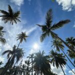 Lina Castrillón Instagram - ☀️2024 🌴 Mente feliz Vida feliz …. 💭 De ahí viene todo … Que sea un año amoroso para todos … 🙌🙏🏻