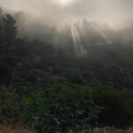 Lina Esco Instagram - six thirty am runners high with this slice of hope is pure heaven.