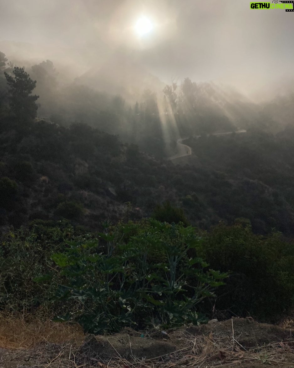 Lina Esco Instagram - six thirty am runners high with this slice of hope is pure heaven.