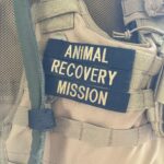 Lina Esco Instagram – spent the day with one of my heroes: KUDO founder of @arminvestigations and @taylorarminvestigations.
please educate yourselves on one of the most important organizations: Animal Recovery Mission (ARM) utilizes specialized tactical strategies to infiltrate, document, and expose criminal and inhumane acts against animals. 

it’s core mission: to derail animal cruelty operations, bring forth justice, and educate the public on the atrocities of unseen and unheard of animal exploitation and abuse.
please donate whatever you can. LINK IN MY BIO.