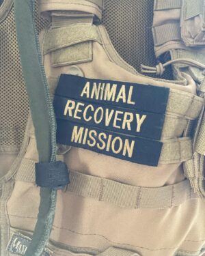 Lina Esco Instagram - spent the day with one of my heroes: KUDO founder of @arminvestigations and @taylorarminvestigations.
please educate yourselves on one of the most important organizations: Animal Recovery Mission (ARM) utilizes specialized tactical strategies to infiltrate, document, and expose criminal and inhumane acts against animals. 

it’s core mission: to derail animal cruelty operations, bring forth justice, and educate the public on the atrocities of unseen and unheard of animal exploitation and abuse.
please donate whatever you can. LINK IN MY BIO.