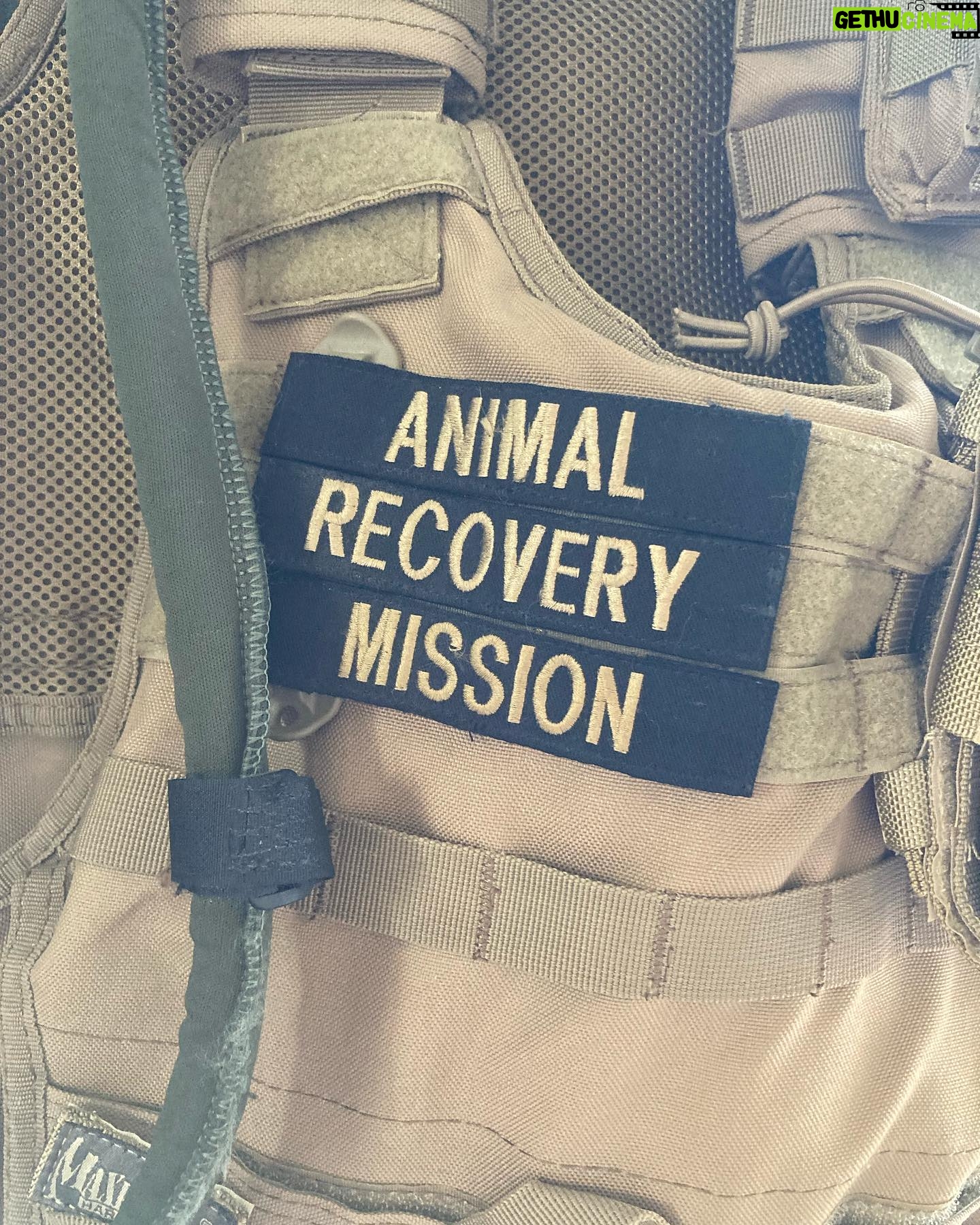 Lina Esco - 22.4K Likes - spent the day with one of my heroes: KUDO founder of @arminvestigations and @taylorarminvestigations.
please educate yourselves on one of the most important organizations: Animal Recovery Mission (ARM) utilizes specialized tactical strategies to infiltrate, document, and expose criminal and inhumane acts against animals.
it’s core mission: to derail animal cruelty operations, bring forth justice, and educate the public on the atrocities of unseen and unheard of animal exploitation and abuse.
please donate whatever you can. LINK IN MY BIO.