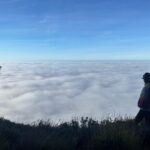 Lina Esco Instagram - the inevitable high