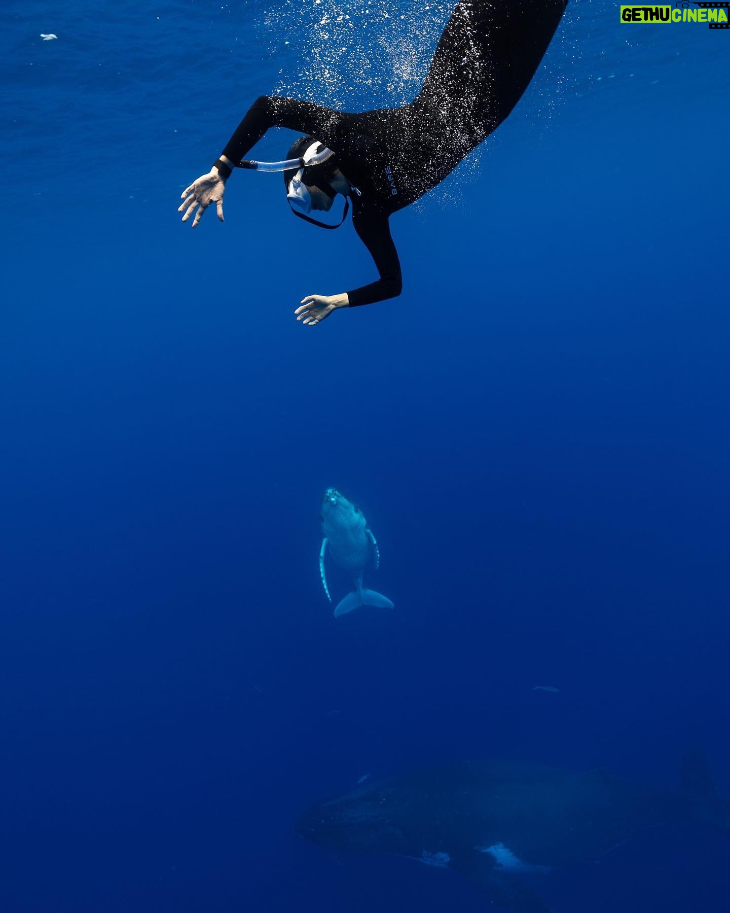 Lina Esco Instagram - here’s to a deeper 2023 ✨ @karimiliya thank you for capturing this unforgettable moment of me coming down to get close to the calf and momma way below… 👁️