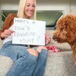 Lindsay Czarniak Instagram - Pup entertainment 🐾#JOTD #jokes #laugh #puppies #dpgs #family #dinosaurs