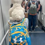 Lindsay Czarniak Instagram – Thursday thoughts…new website, new packing strategy and new perspective on work travel and work life balance on the eve of one of my favorite events to cover – the Indy 500 – “the Greatest Spectacle in Racing”  #indy500 #indy #sports #packing #travel #momlife #family #work
